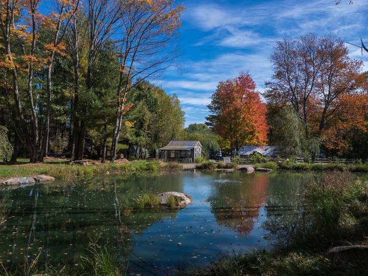 The pond and grounds at Outlier Inn in autumn