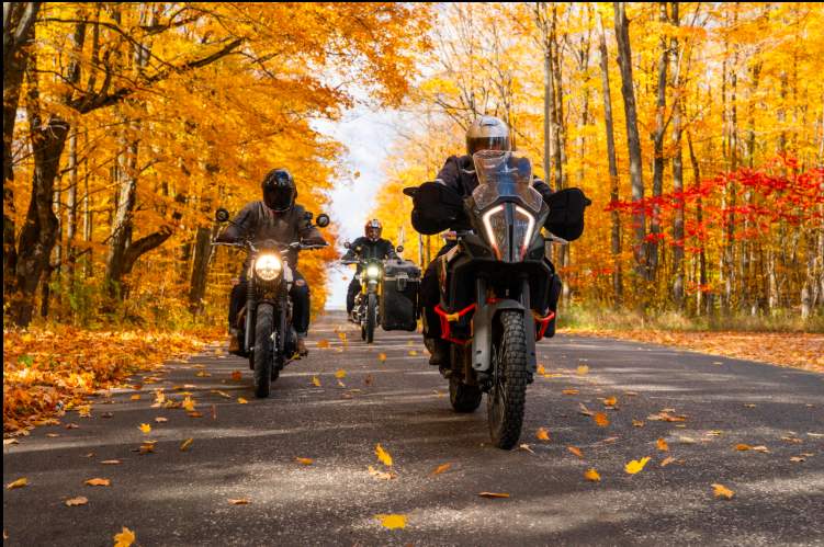 Riders on the fall foliage road leading into the property